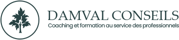 DAMVAL Conseils