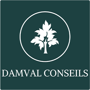 DAMVAL Conseils